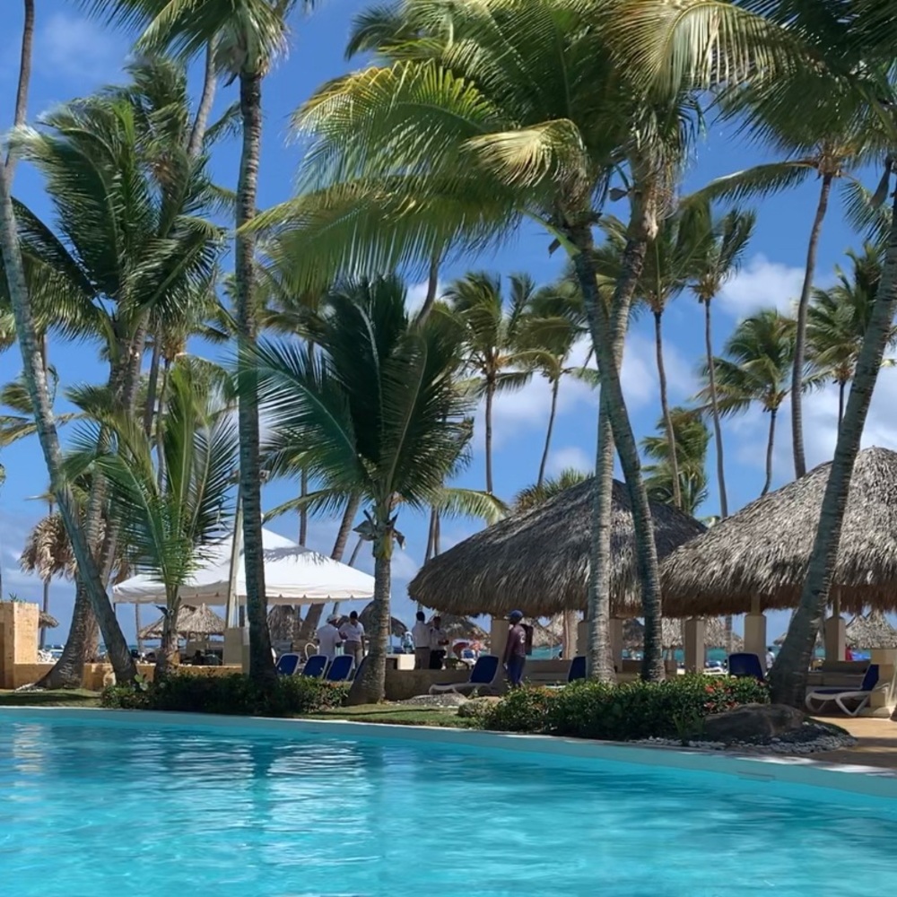 Meet your Posher, Dee